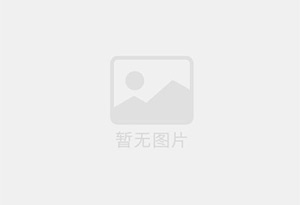 上市公司财务报表美化操作步骤及所需材料详解